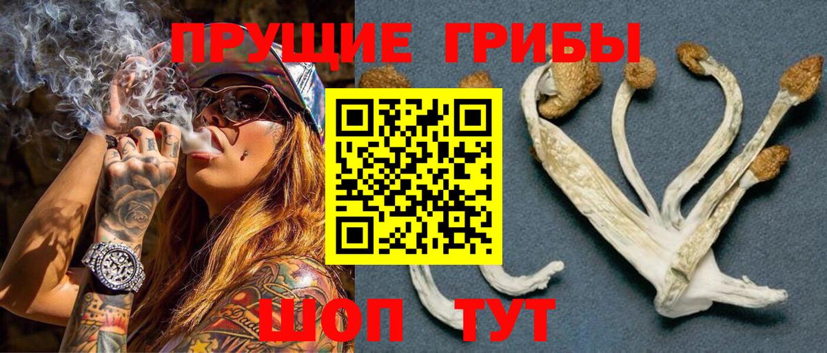 купить закладку  Псилоцибиновые грибы MAGIC MUSHROOMS  Галлюциногенные грибы MAGIC MUSHROOMS  Вход с VPN  Майкоп 