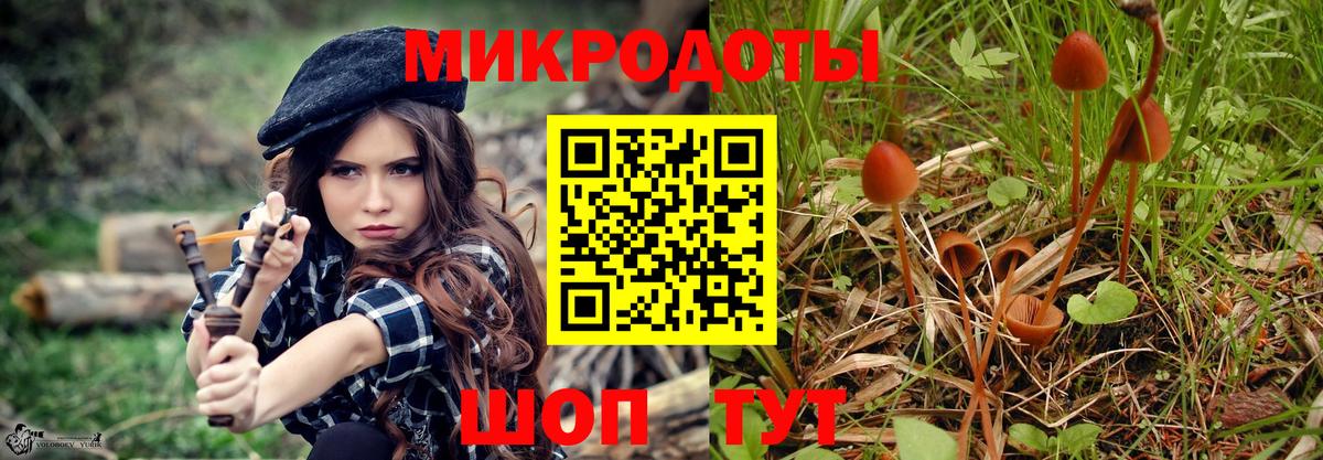 Псилоцибиновые грибы Cubensis Майкоп